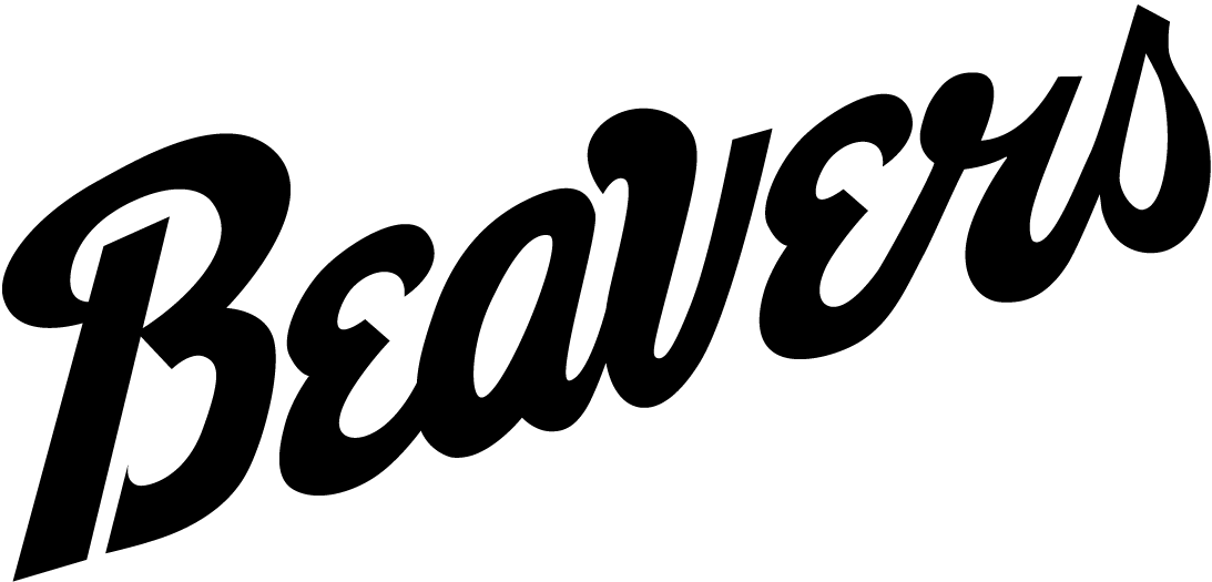 Bemidji State Beavers 2004-Pres Wordmark Logo v2 DIY iron on transfer (heat transfer)